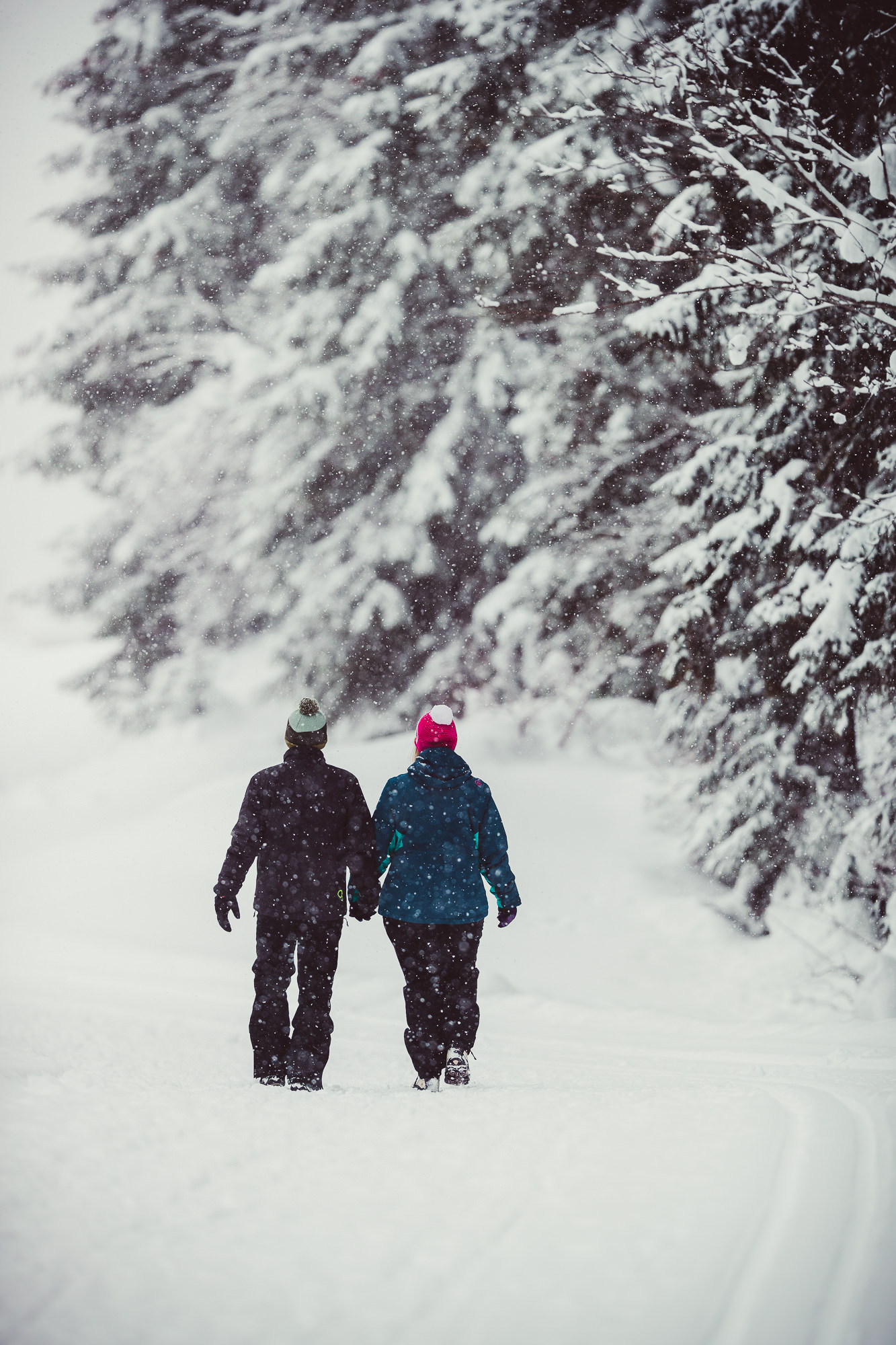 Export x3 1DX28982 Verlobungsfotoshooting 2018 Anna & Dominik 2